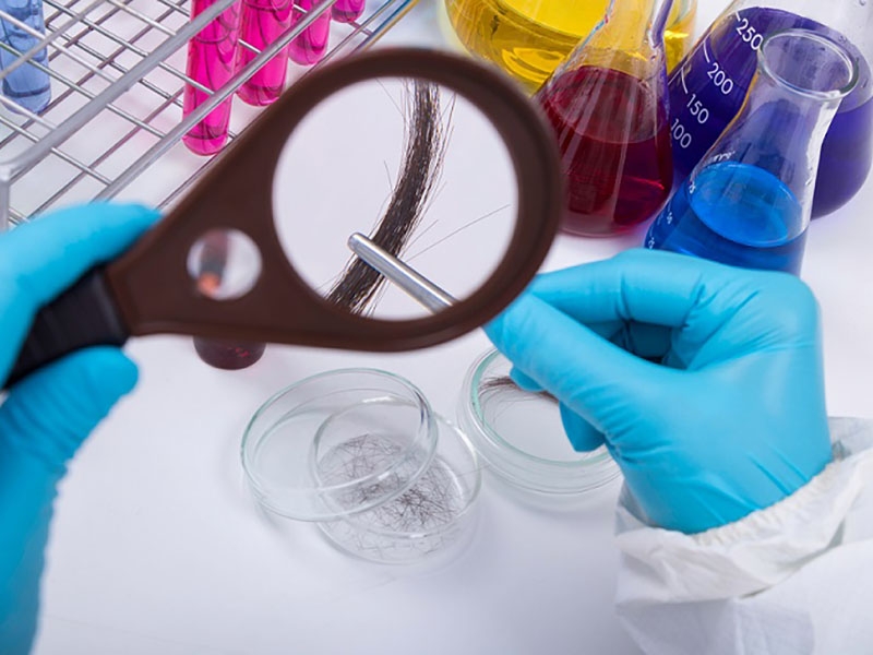 Toxikologischer Test